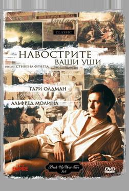 Навострите ваши уши Навострите ваши уши