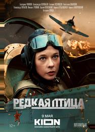 Редкая птица