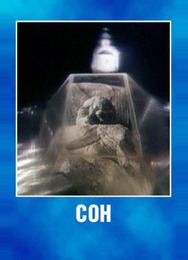 Сон