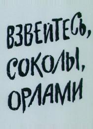 Взвейтесь, соколы, орлами