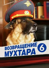 Возвращение Мухтара 6