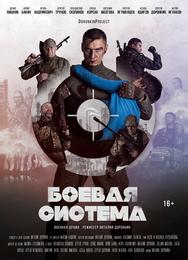 Боевая система
