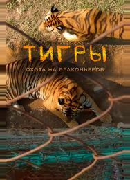 Тигры: Охота на браконьеров