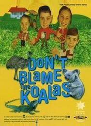 Коалы не виноваты