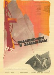 Подснежники и эдельвейсы