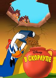 В скорлупе