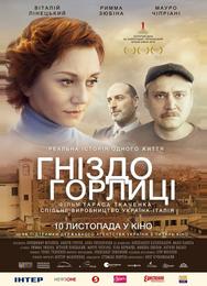 Гнездо горлицы