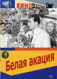 Белая акация