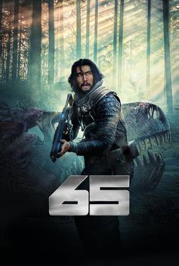 65 65
