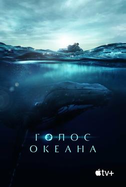 Голос океана Голос океана