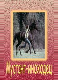 Мустанг-иноходец