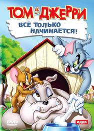 Кот играет в боулинг