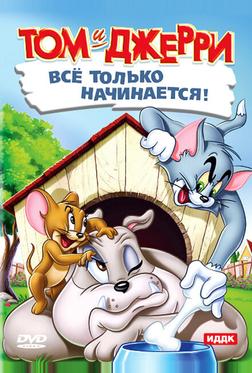 Кот играет в боулинг Кот играет в боулинг