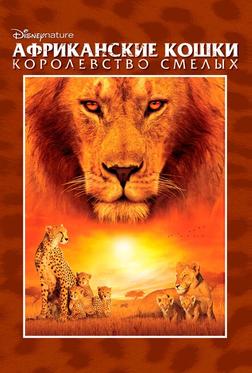 Африканские кошки: Королевство смелых