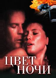 Цвет ночи