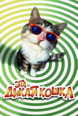 Эта дикая кошка Эта дикая кошка