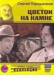 Цветок на камне
