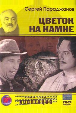 Цветок на камне Цветок на камне