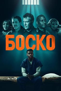 Боско Боско