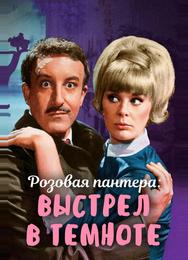 Выстрел в темноте
