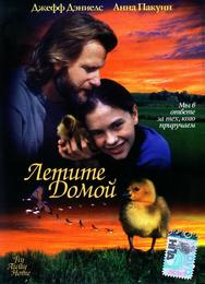 Летите домой