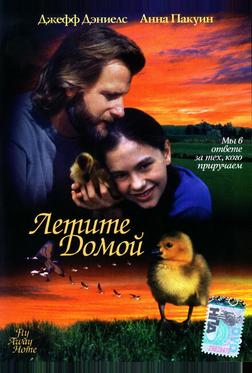 Летите домой Летите домой