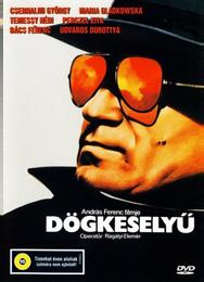 Кондор