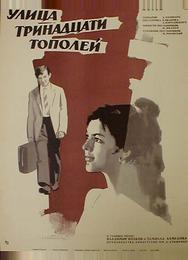 Улица тринадцати тополей