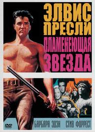Пламенеющая звезда