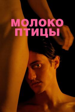 Молоко птицы Молоко птицы
