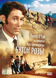 Бутон розы