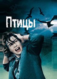 Птицы