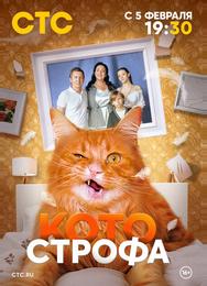 Котострофа