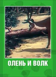 Олень и волк