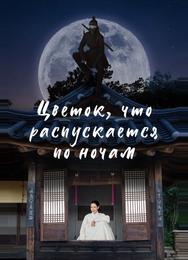 Цветок, что распускается по ночам