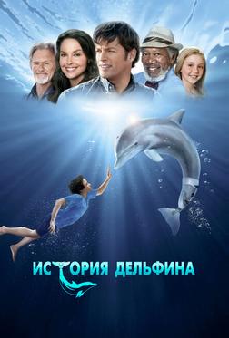 История дельфина