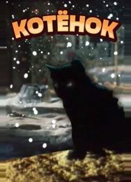 Котёнок