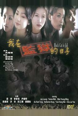 Чёрная кошка 3: В тюрьме Чёрная кошка 3: В тюрьме