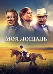 Моя лошадь