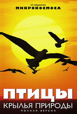 Птицы: Крылья природы