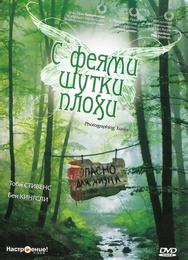 С феями шутки плохи