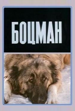 Боцман Боцман