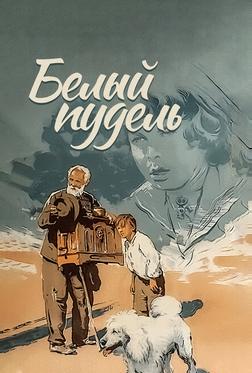 Белый пудель Белый пудель