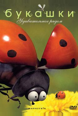 Букашки Букашки