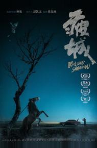 Убей тень (2017)