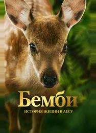 Бемби. История жизни в лесу
