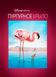 Пурпурное крыло