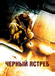 Черный ястреб
