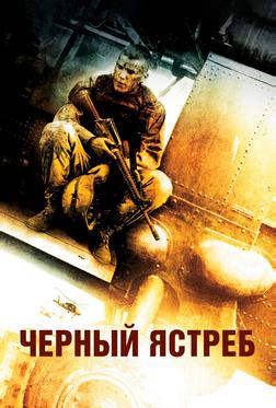 Черный ястреб Черный ястреб