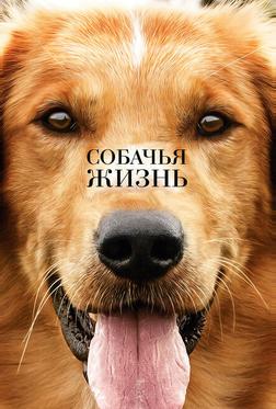 Собачья жизнь Собачья жизнь